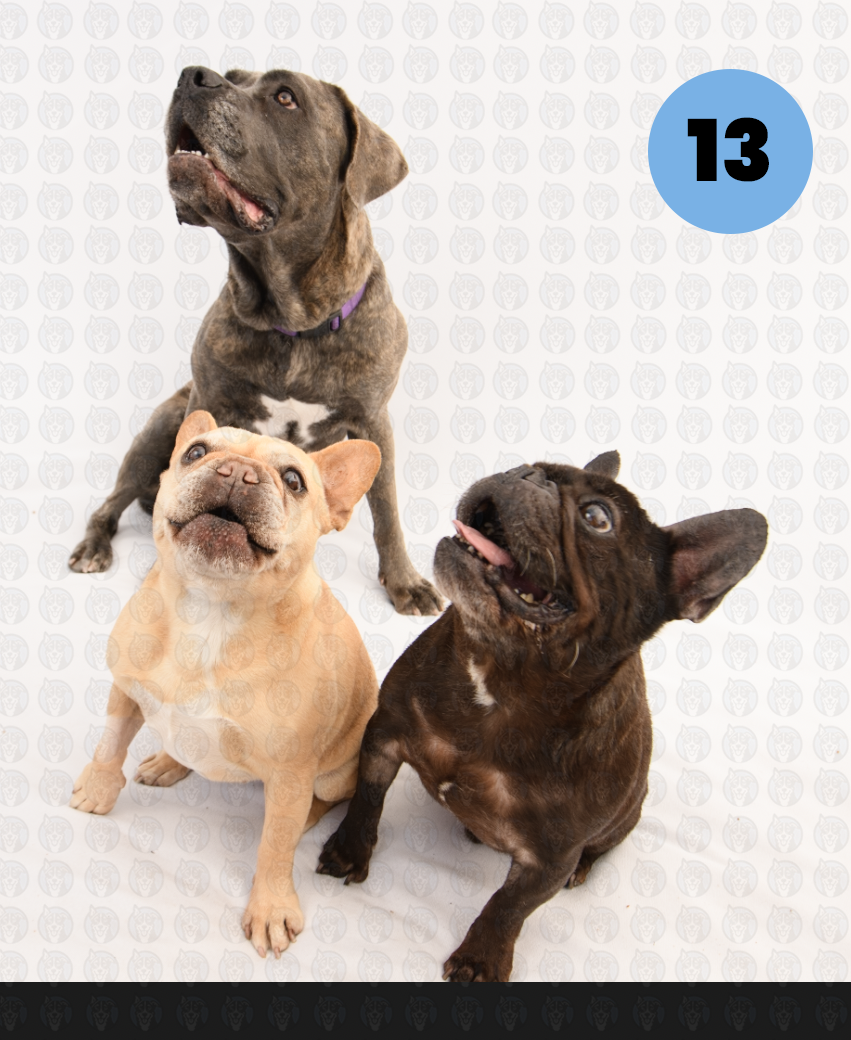 Screenshot 2026-01-12 at 11.54.31 AM copy.png