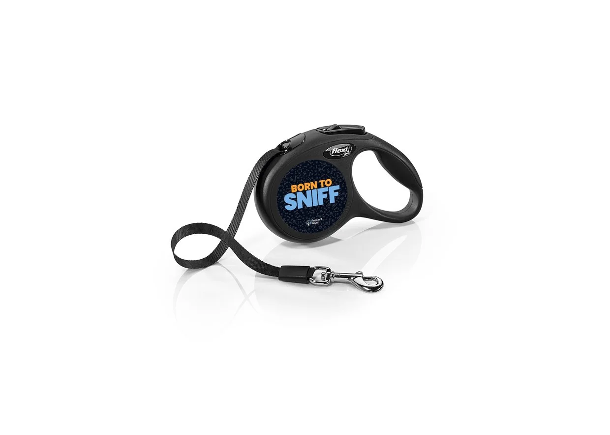 Flexi Retractable Leash with High-Vis Message