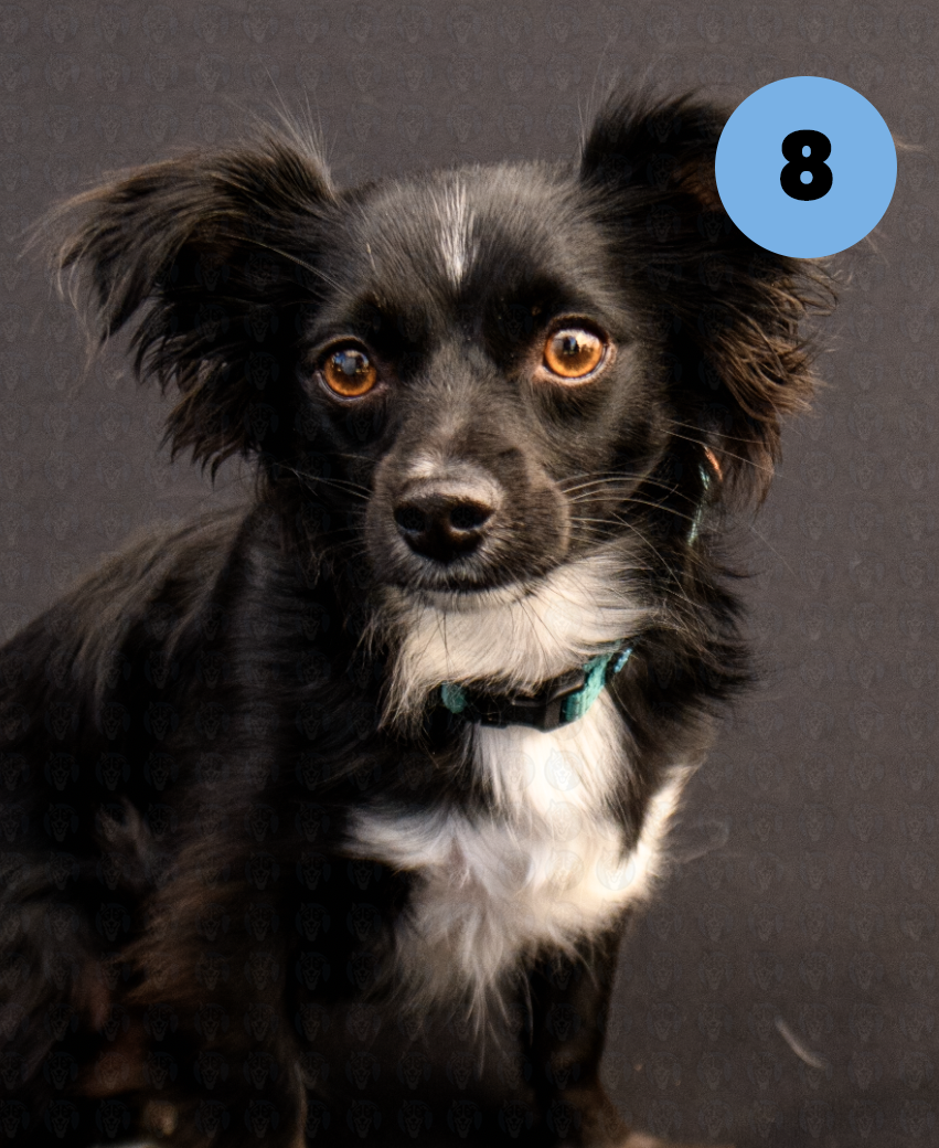 Screenshot 2025-10-24 at 2.25.26 PM copy.png