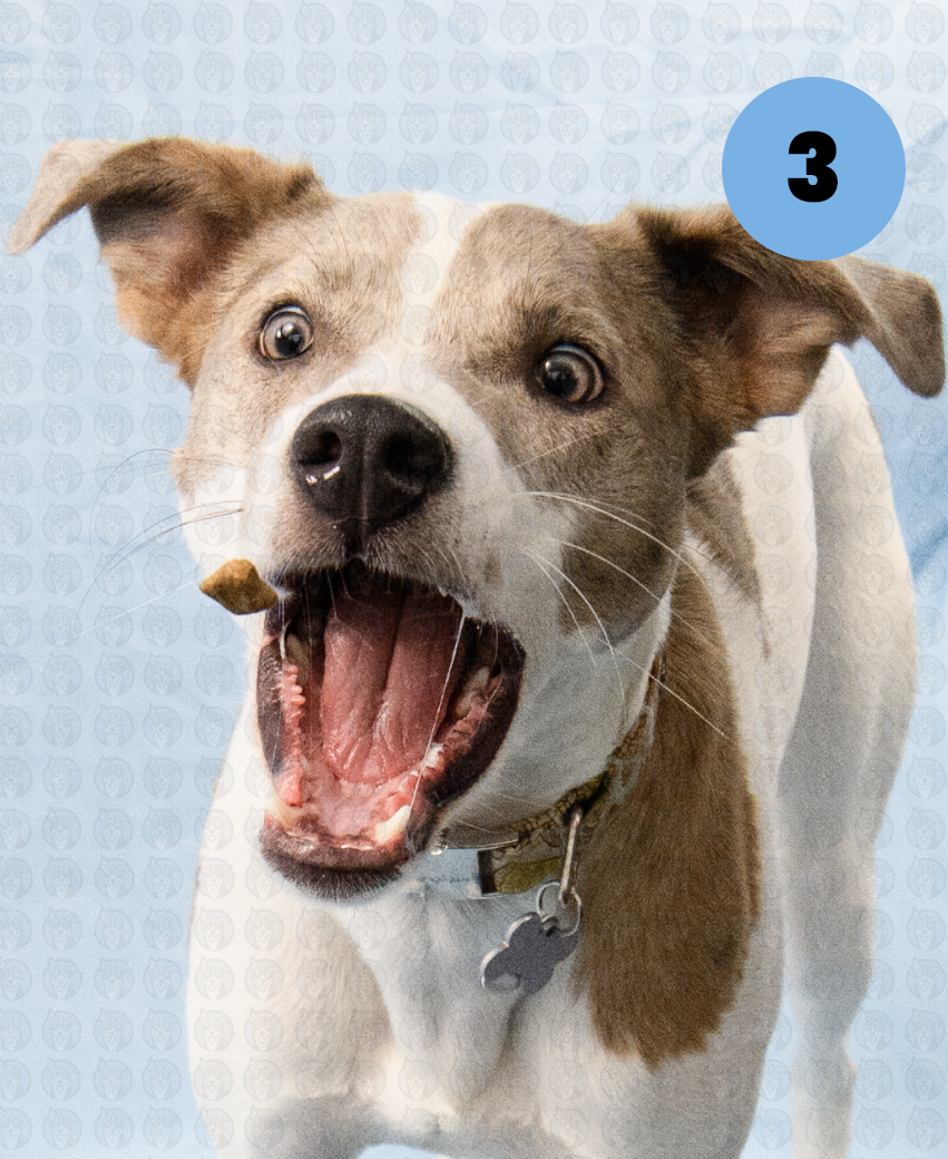 Photographer's Selects of Cora Fultz