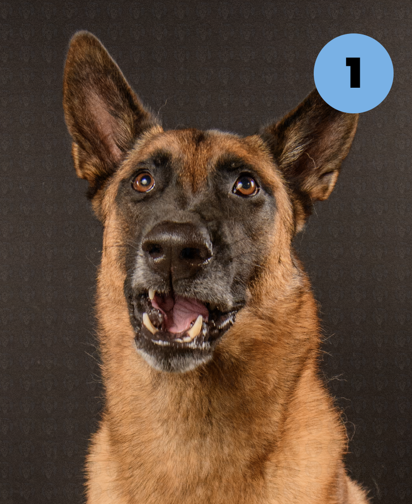 Screenshot 2025-11-09 at 7.37.47 AM copy.png