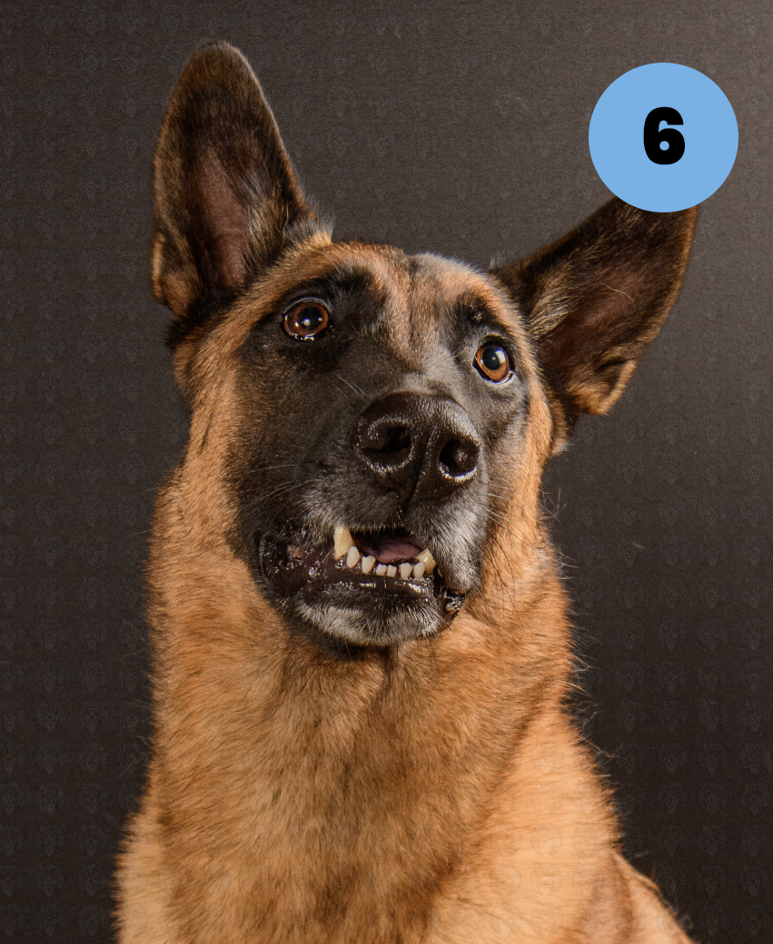 Screenshot 2025-11-09 at 7.38.09 AM copy.png