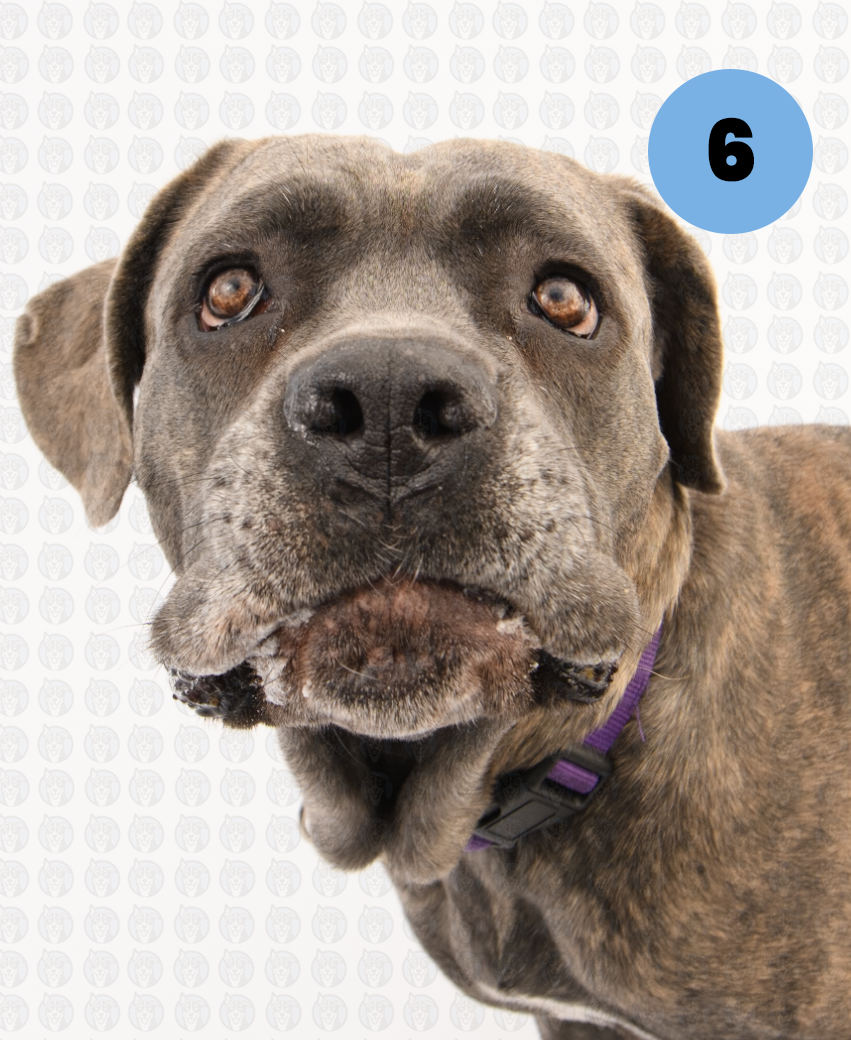 Screenshot 2026-01-12 at 11.53.37 AM copy.png