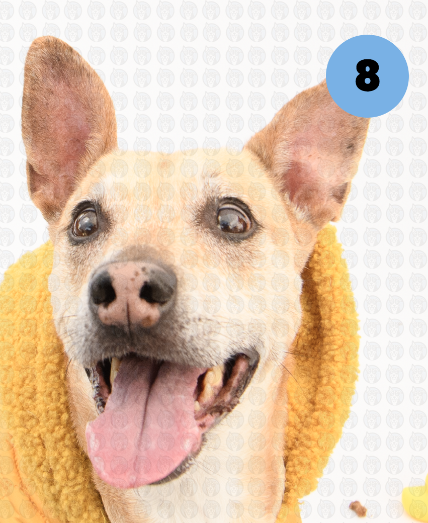 Screenshot 2026-01-12 at 11.44.35 AM copy.png