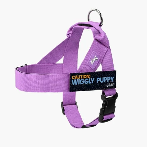 Caution Wiggly Puppy_DF Harness_Purple.jpg
