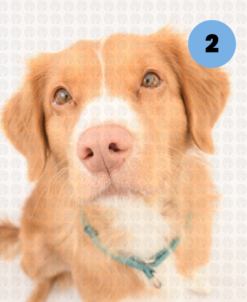 Screenshot 2026-01-12 at 11.35.15 AM copy.png