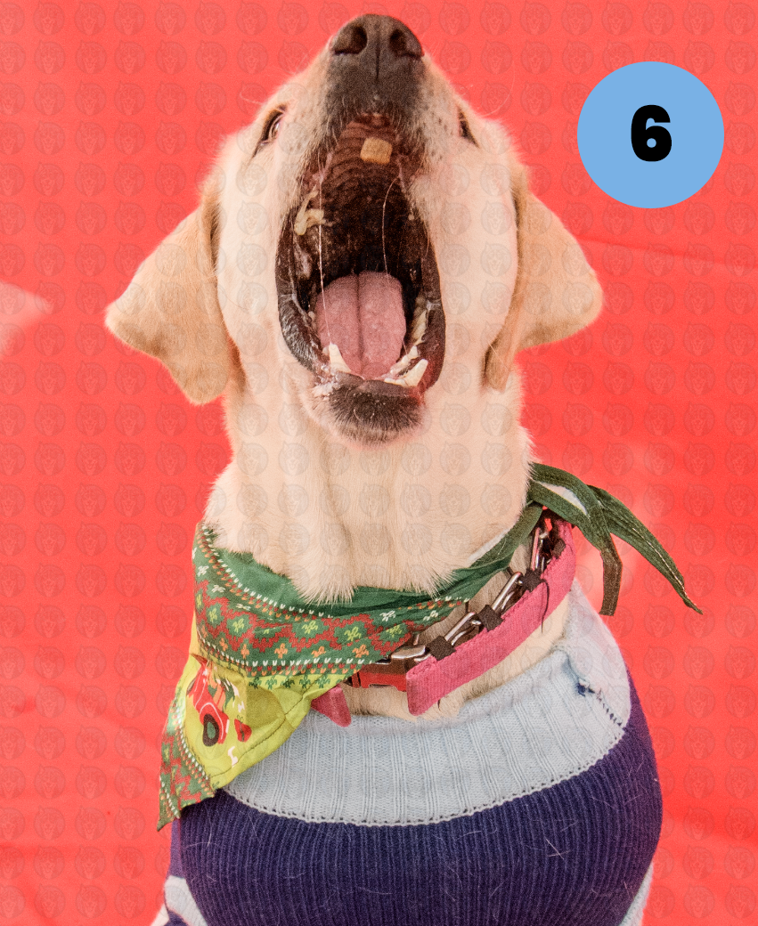 Photographer's Selects of Roxy and Molly Houston