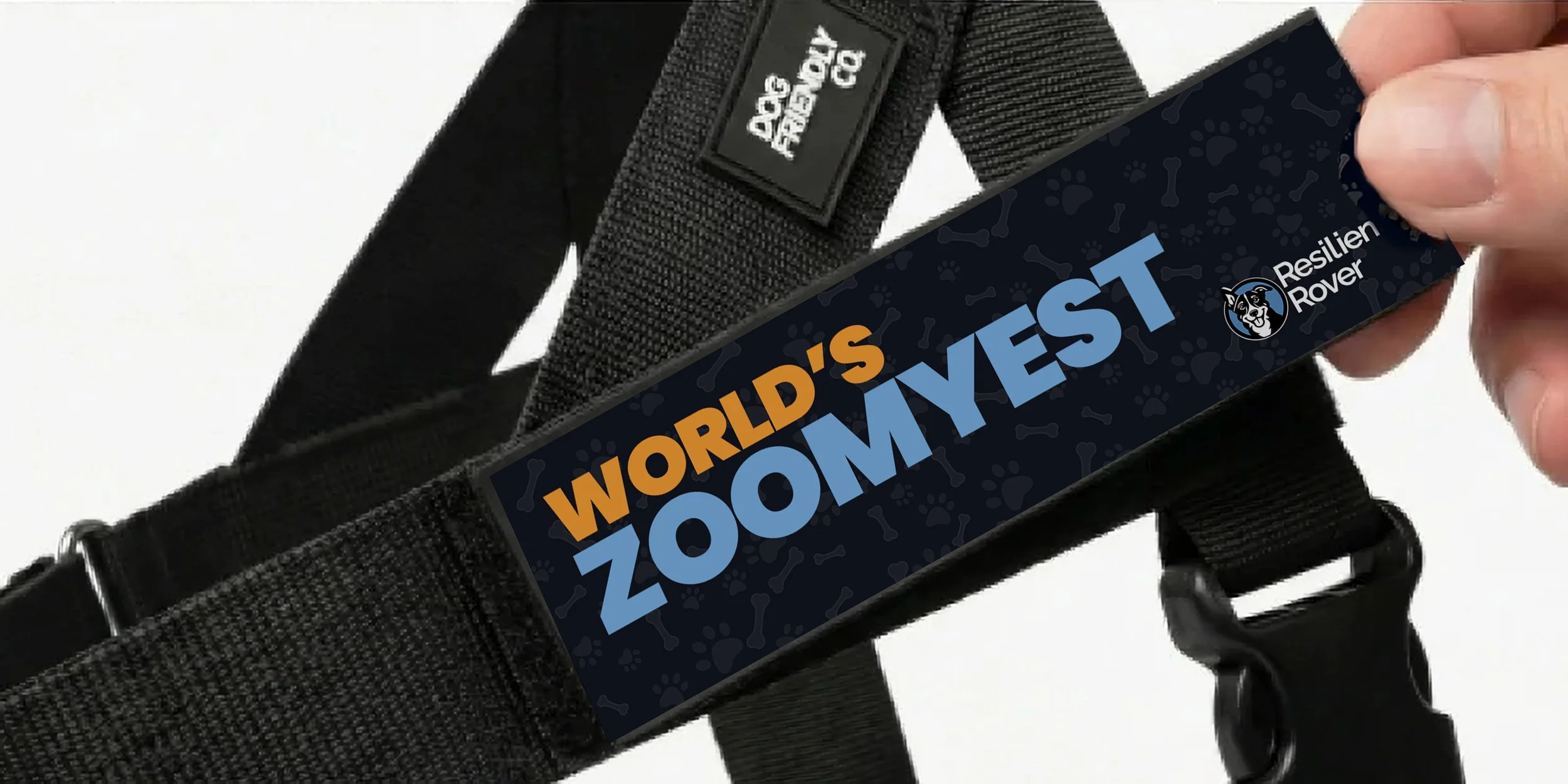 Harness Close Up_Zoomy.jpg