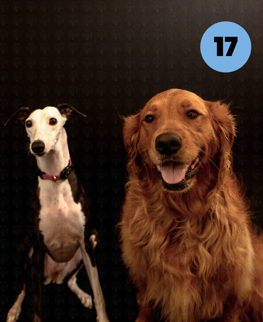 Screenshot 2025-10-24 at 2.14.12 PM copy.png