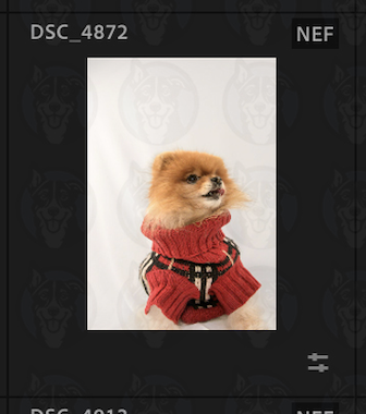 Screenshot 2025-02-12 at 11.03.15 AM.png