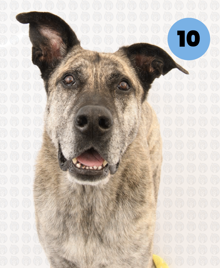 Screenshot 2026-01-12 at 11.22.50 AM copy.png