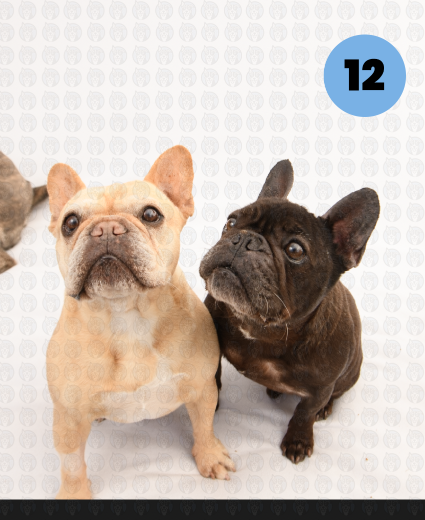 Screenshot 2026-01-12 at 11.54.24 AM copy.png