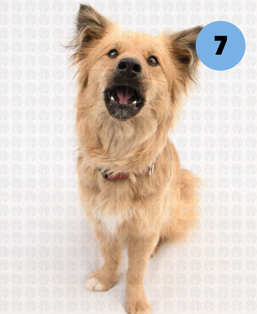 Screenshot 2026-01-12 at 11.14.54 AM copy.png