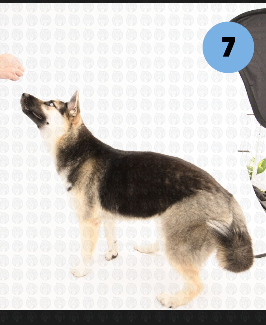 Screenshot 2026-01-12 at 11.40.04 AM copy.png