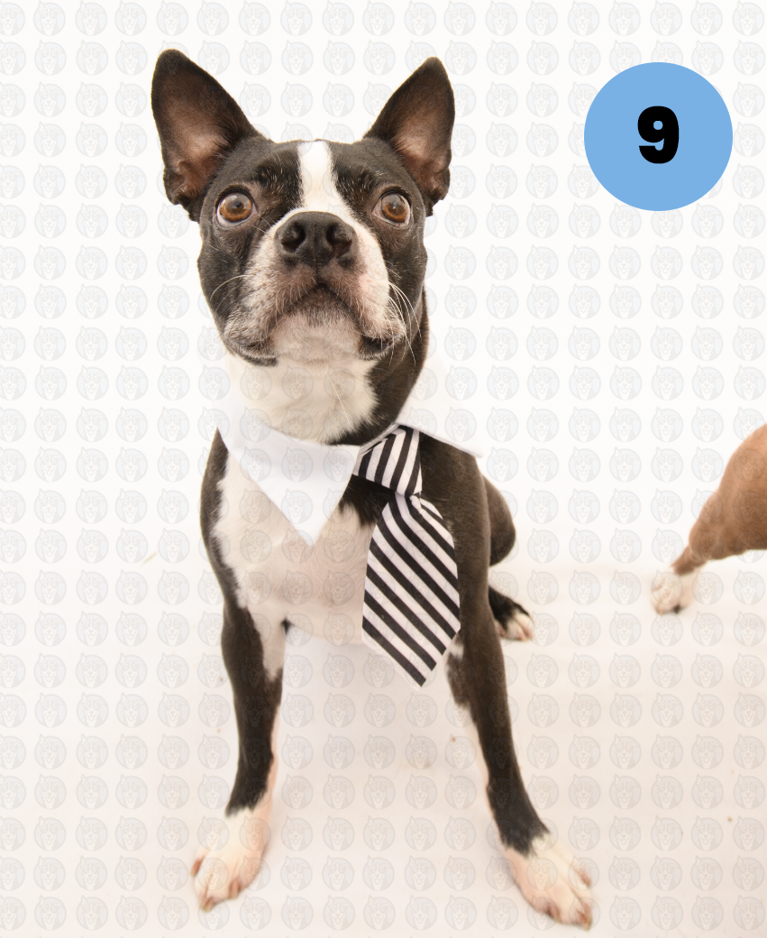 Screenshot 2026-01-12 at 11.30.00 AM copy.png