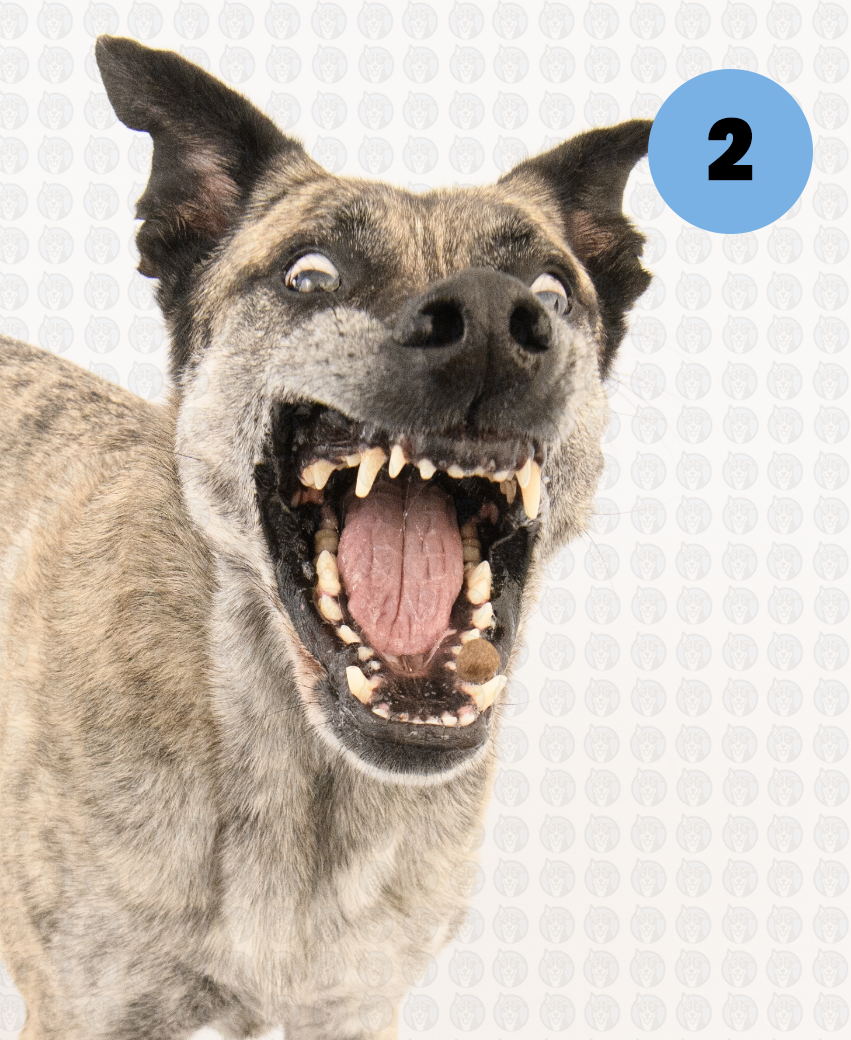 Screenshot 2026-01-12 at 11.21.49 AM copy.png