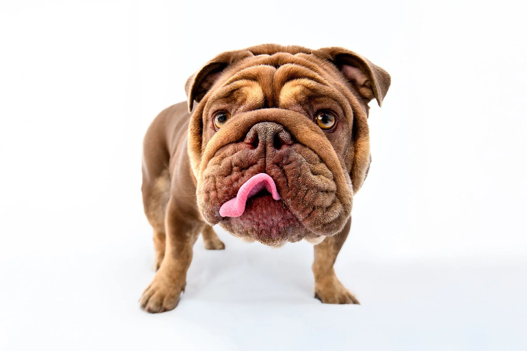 Oscar Portrait_24-16_Lo.jpg