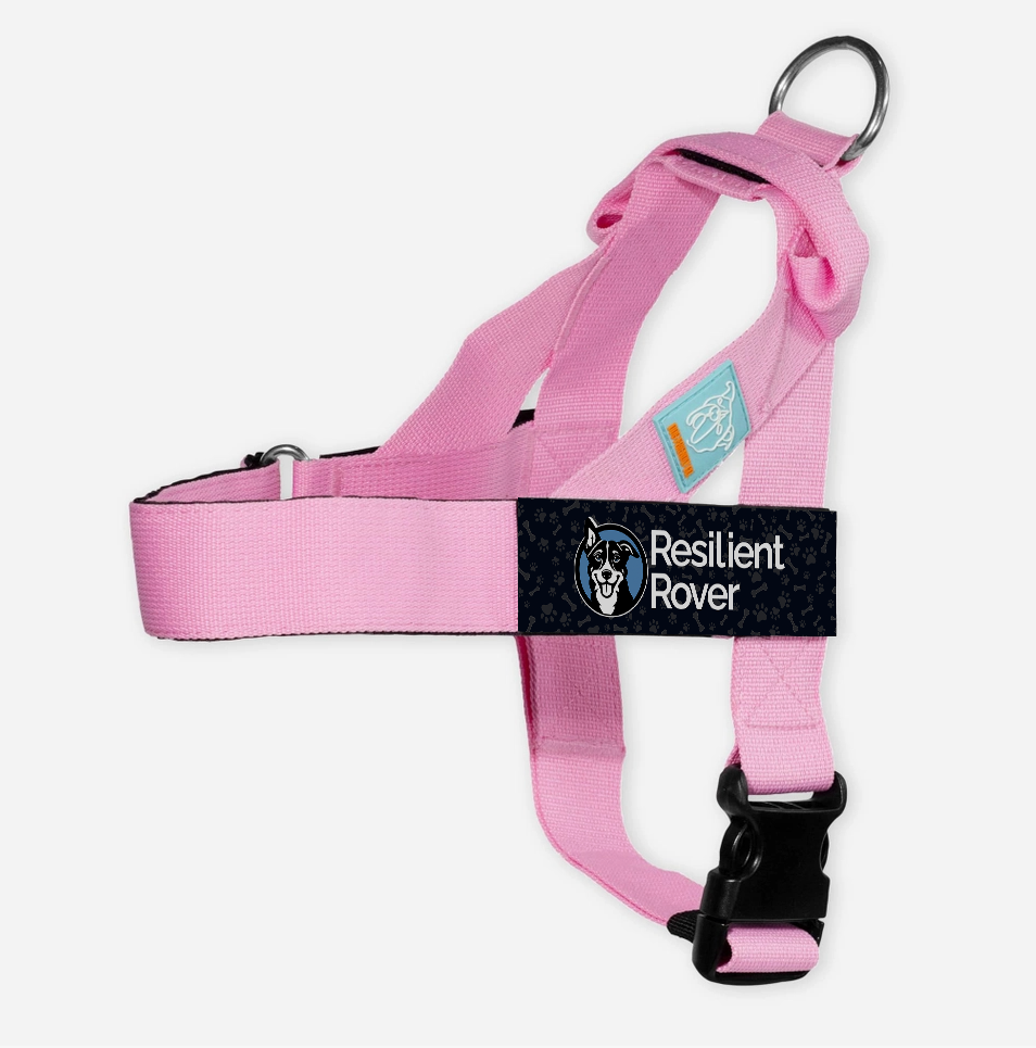 Solid Color Customizable Harness from Dog Friendly Co.