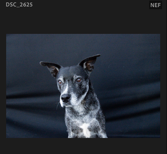 Screenshot 2024-10-28 at 2.09.57 PM.png