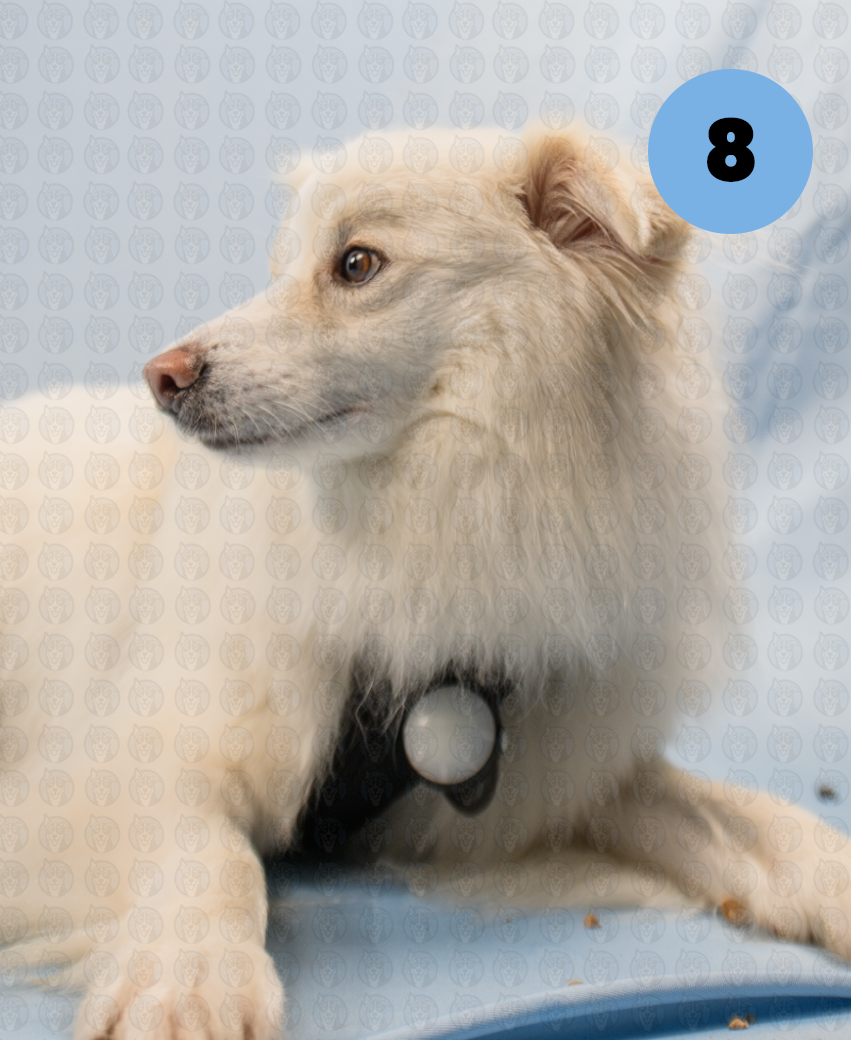 Screenshot 2025-12-22 at 7.13.13 AM copy.png