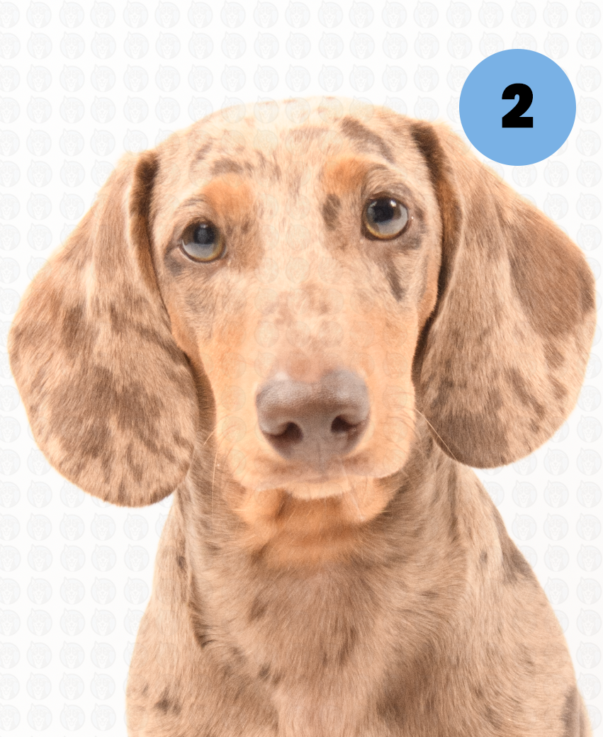 Screenshot 2025-09-30 at 9.09.50 AM copy.png