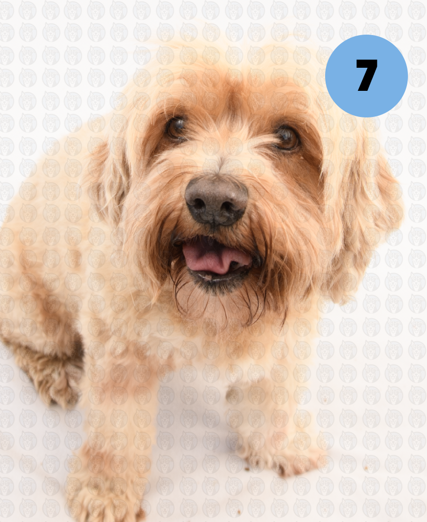 Screenshot 2026-01-12 at 11.19.00 AM copy.png