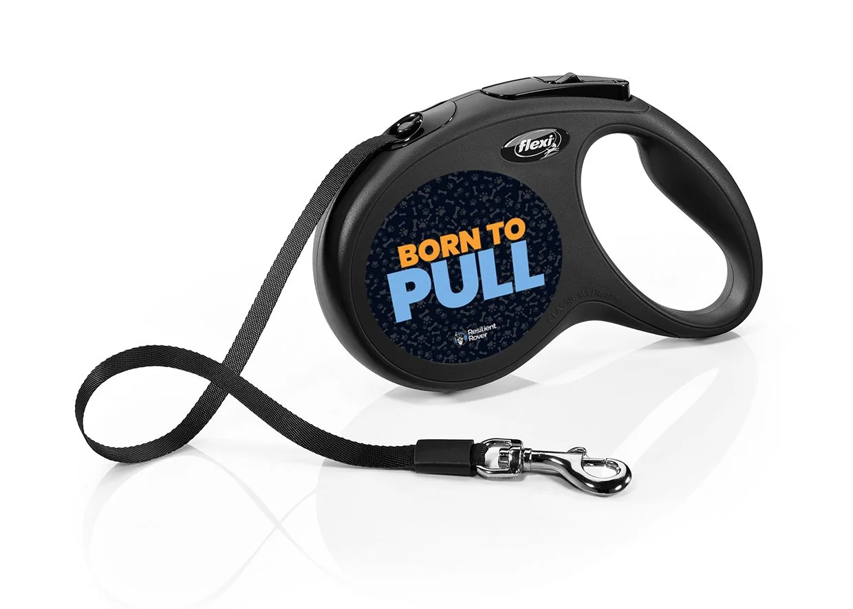 Flexi Retractable Leash with High-Vis Message