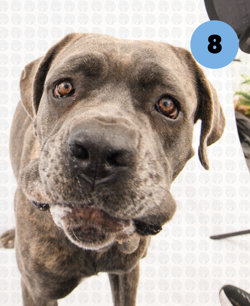 Screenshot 2026-01-12 at 11.53.53 AM copy.png