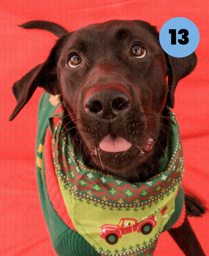 Photographer's Selects of Roxy and Molly Houston