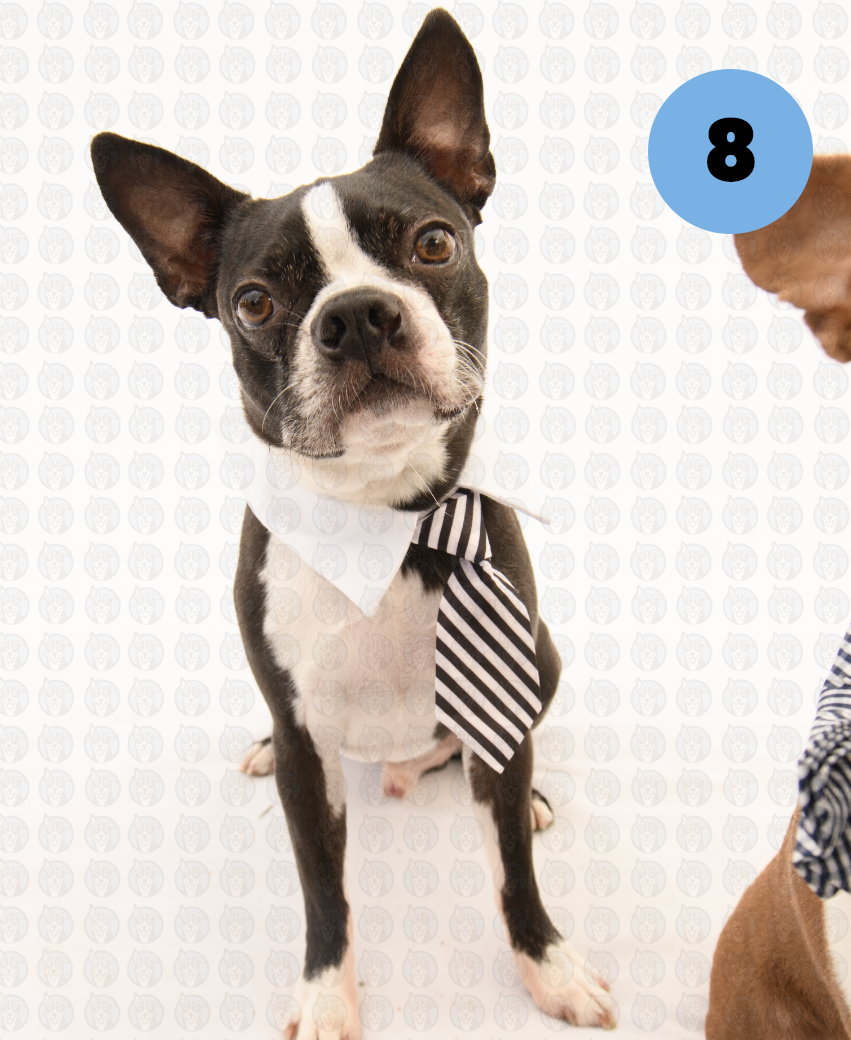 Screenshot 2026-01-12 at 11.29.53 AM copy.png