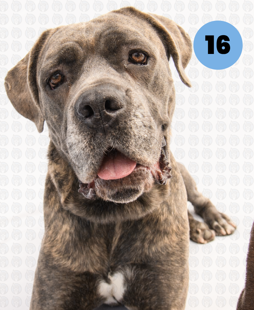 Photographer's Selects of Penne Lola and Dexter Kilbourn