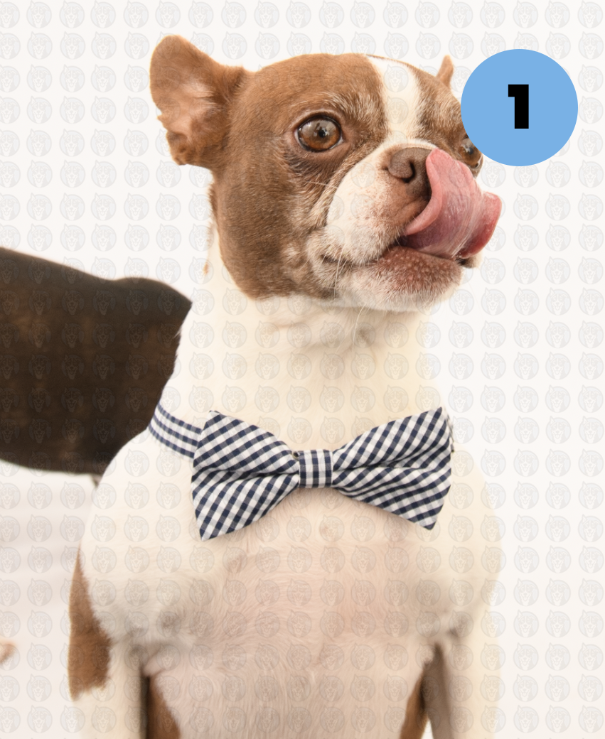 Screenshot 2026-01-12 at 11.28.58 AM copy.png