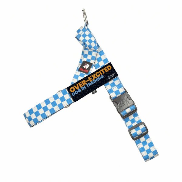 Over-Excited_BH Harness_Blue Check.jpg