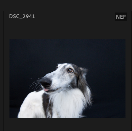 Screenshot 2024-10-29 at 12.17.24 PM.png