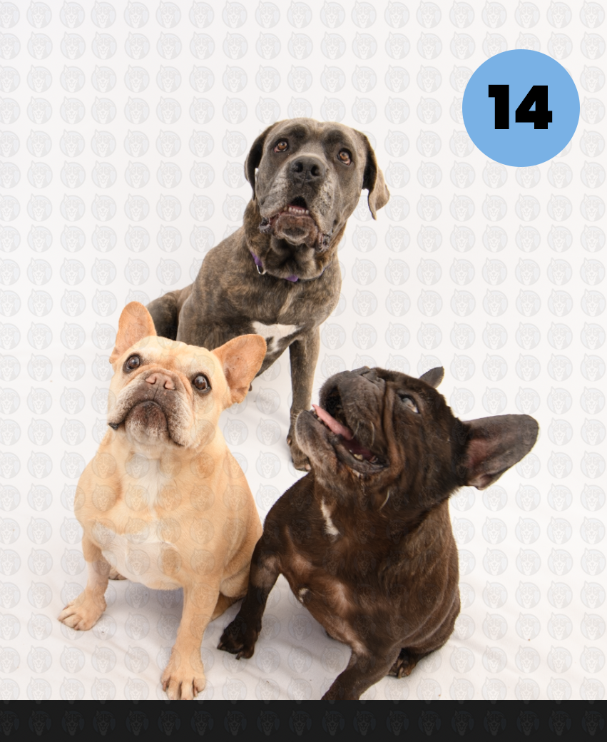 Screenshot 2026-01-12 at 11.54.36 AM copy.png