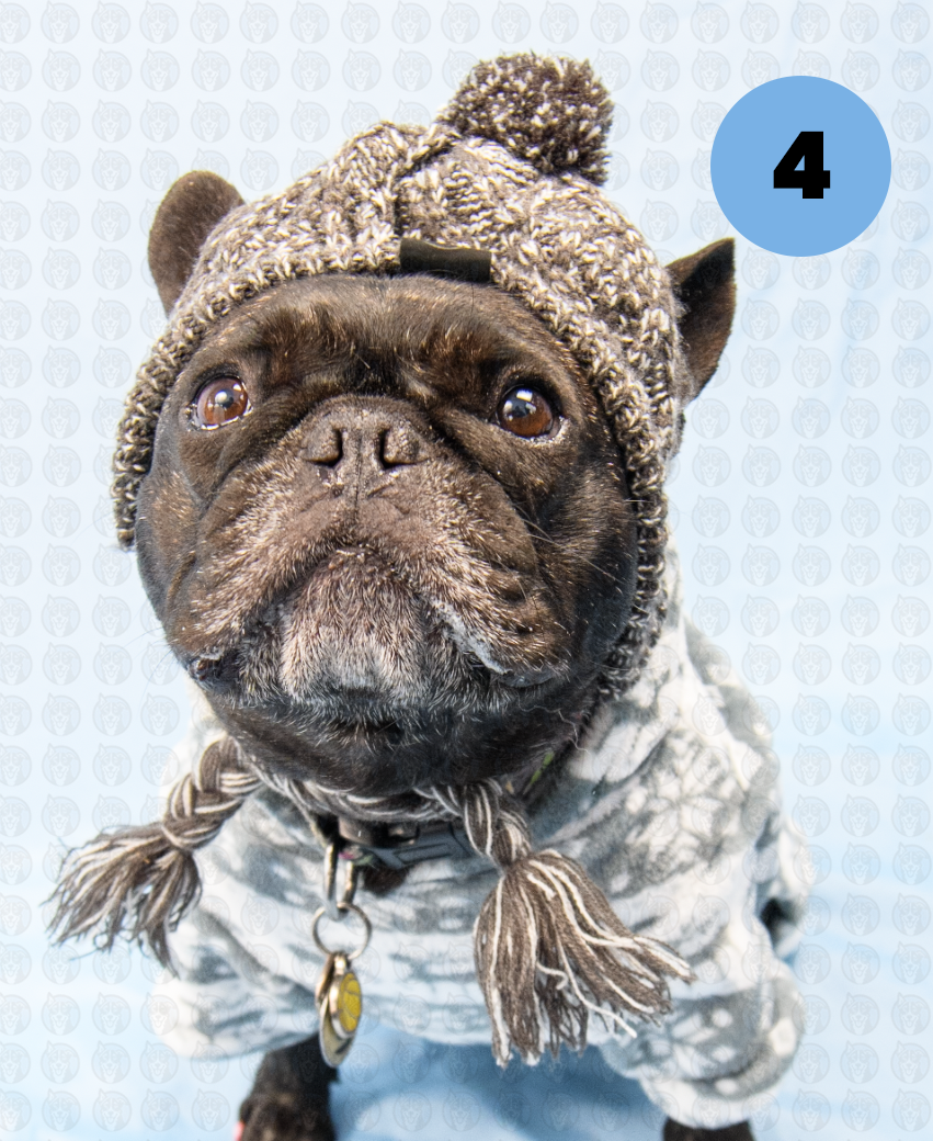 Screenshot 2025-12-16 at 10.01.02 AM copy.png