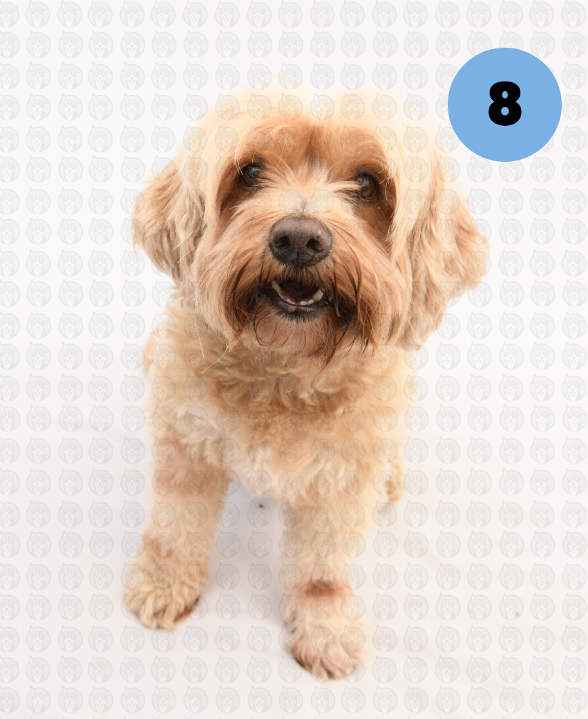 Screenshot 2026-01-12 at 11.19.05 AM copy.png