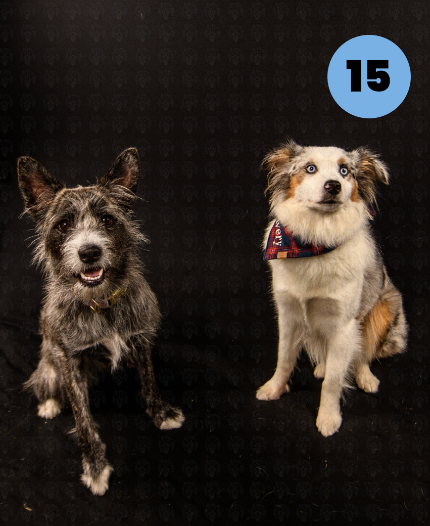 Screenshot 2025-10-24 at 2.06.12 PM copy.png