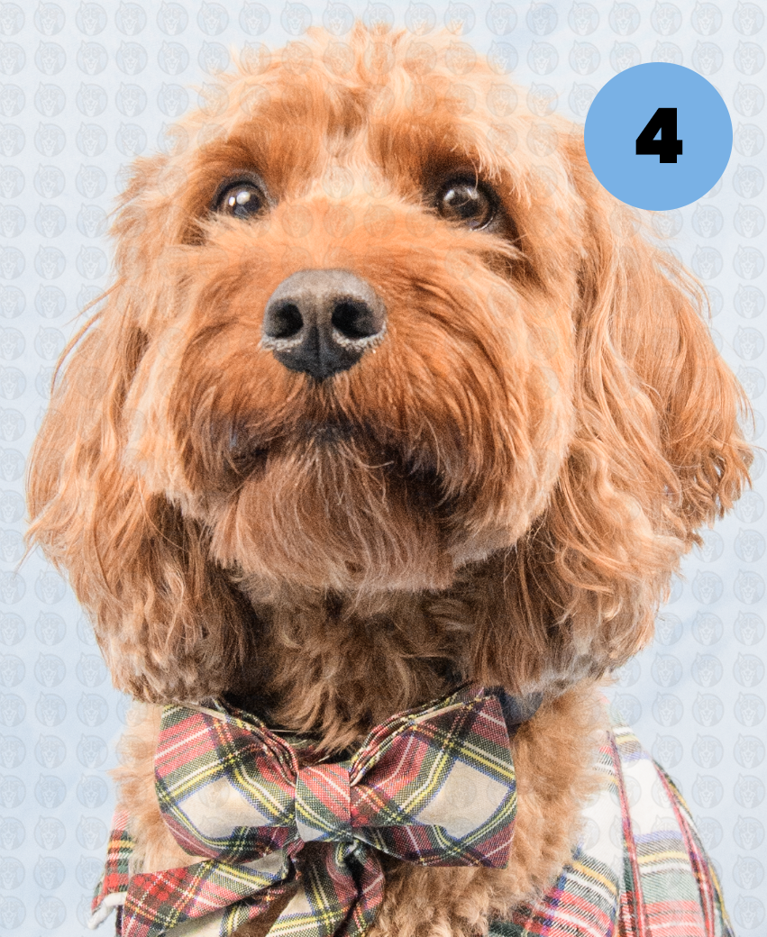 Screenshot 2025-12-22 at 7.07.45 AM copy.png