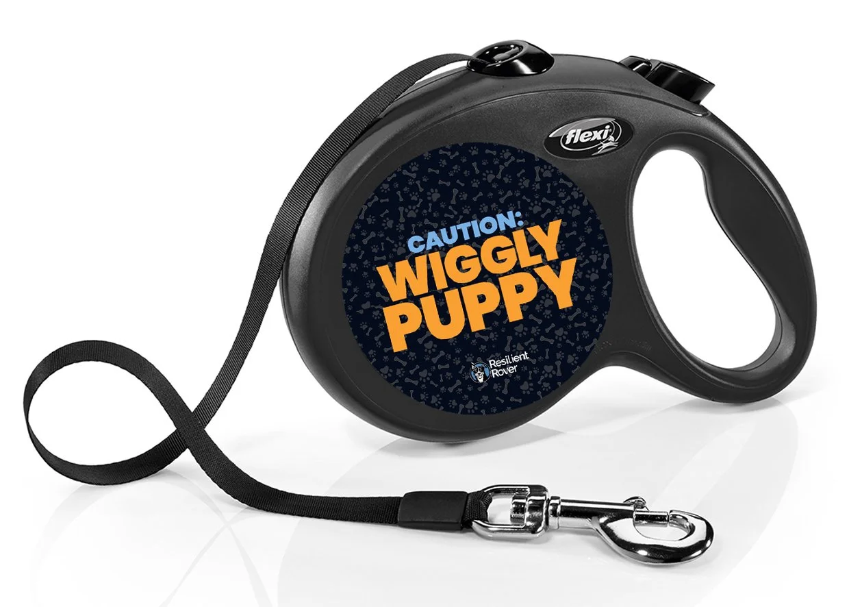 Flexi Retractable Leash with High-Vis Message