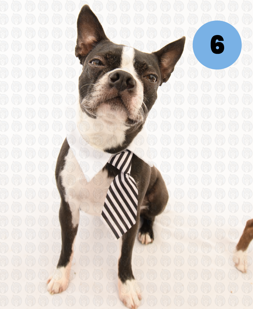 Screenshot 2026-01-12 at 11.29.38 AM copy.png