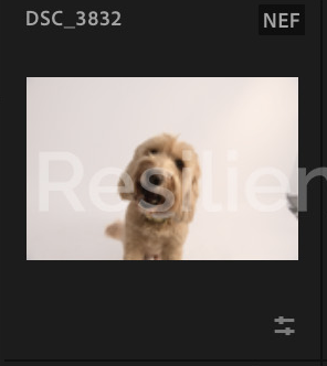 Screenshot 2024-12-18 at 8.49.17 AM.png