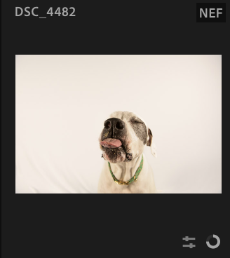 Screenshot 2024-12-24 at 7.23.47 AM.png