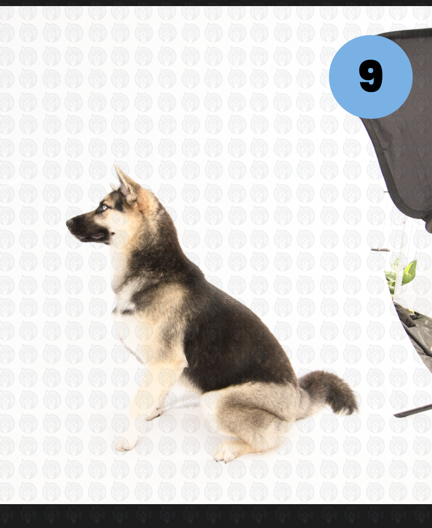 Screenshot 2026-01-12 at 11.40.14 AM copy.png