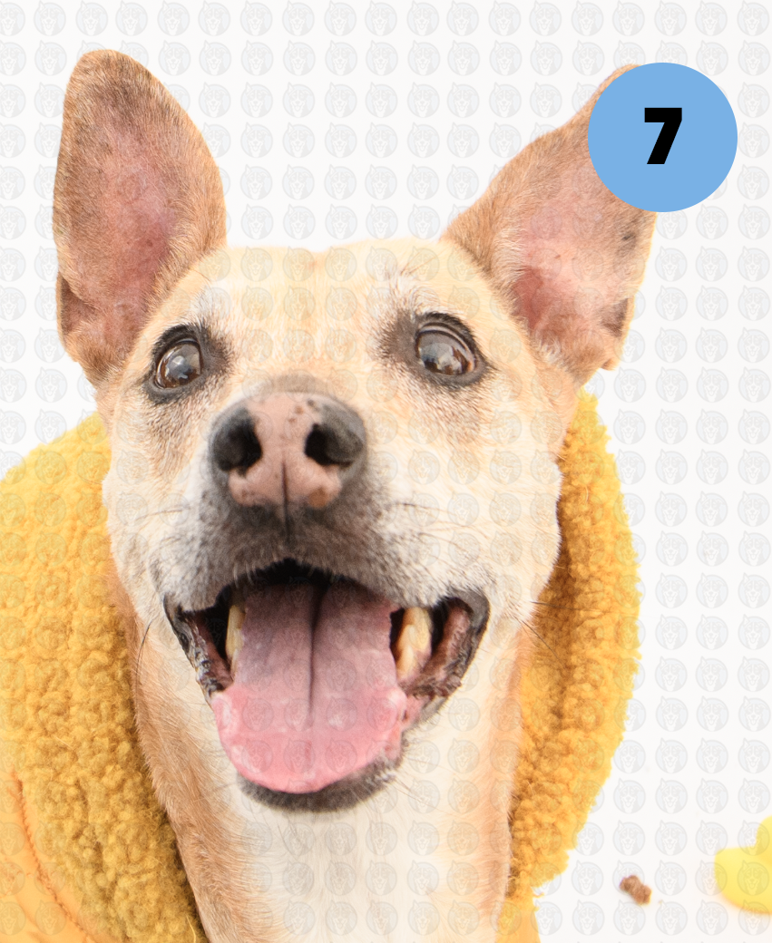 Screenshot 2026-01-12 at 11.44.30 AM copy.png