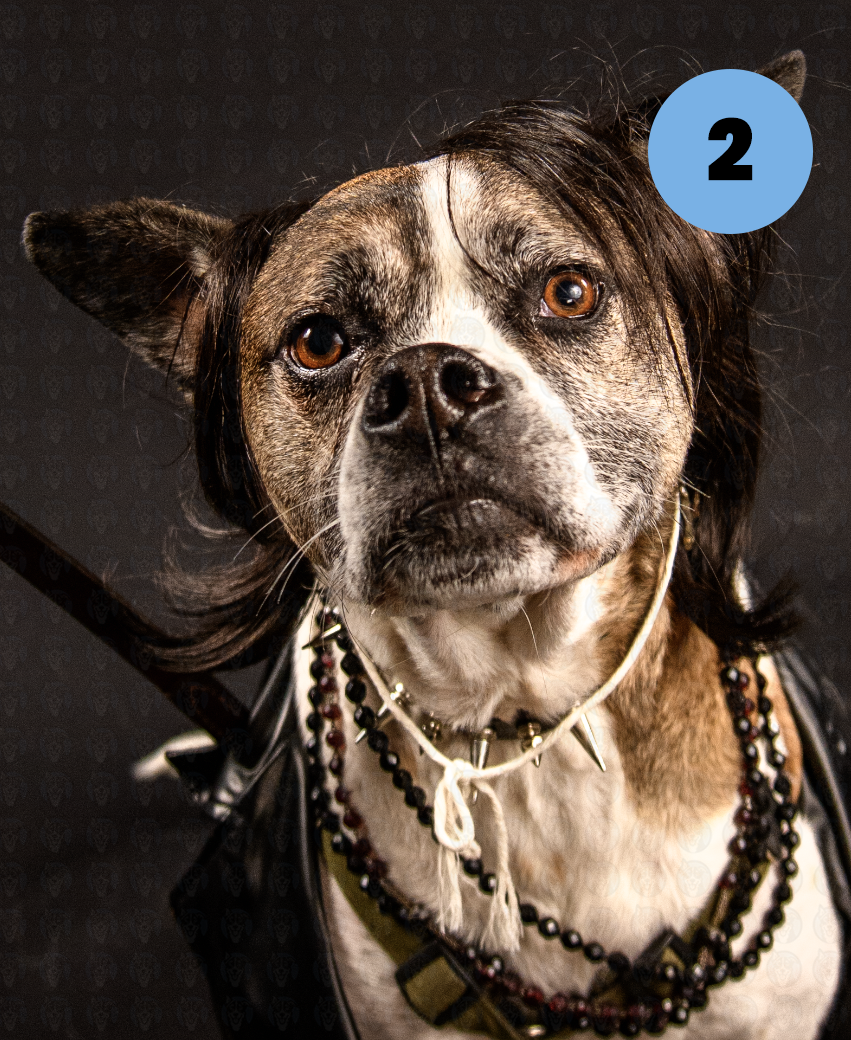 Screenshot 2025-10-27 at 8.40.10 AM copy.png