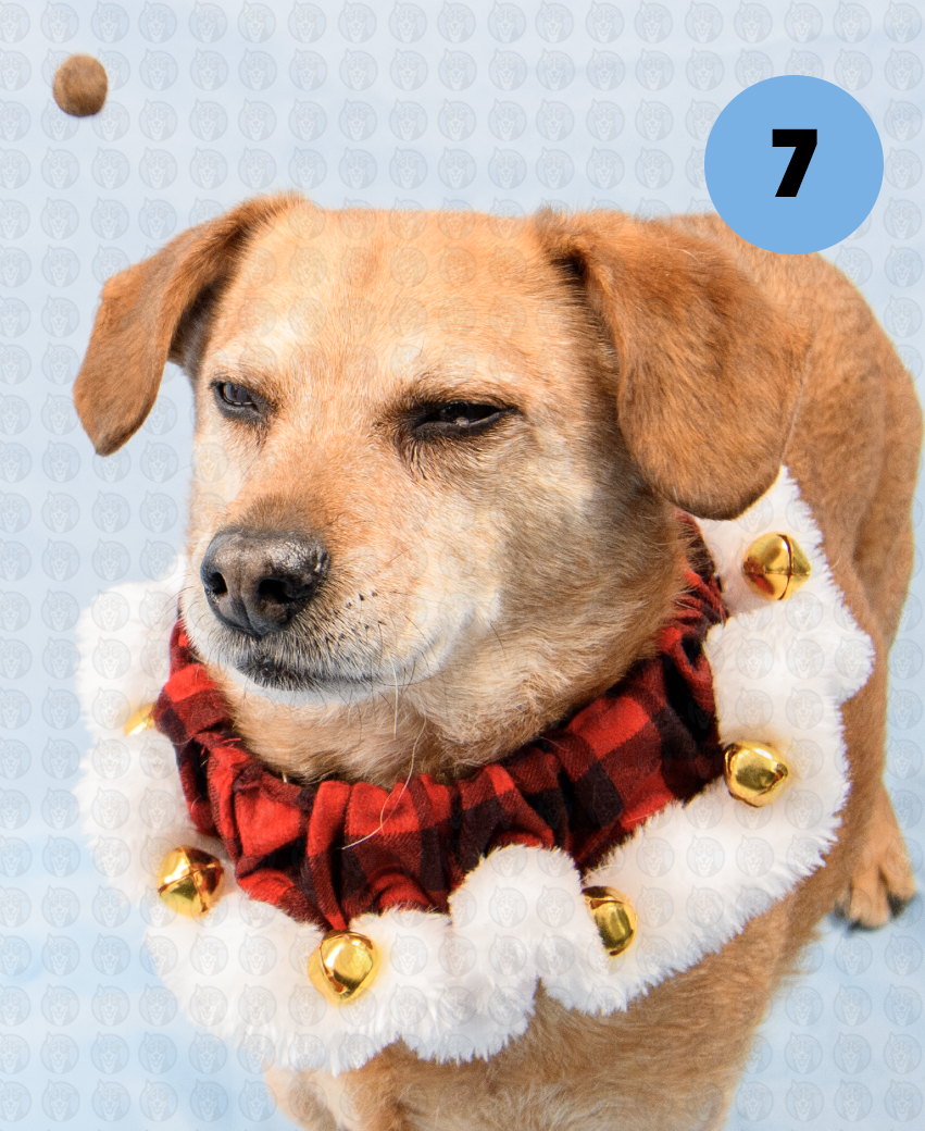 Screenshot 2025-12-16 at 9.49.46 AM copy.png