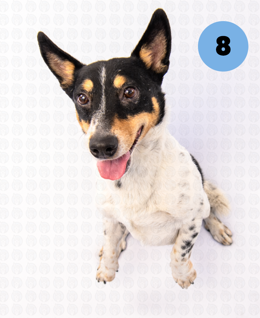 Screenshot 2025-09-17 at 3.04.26 PM copy.png