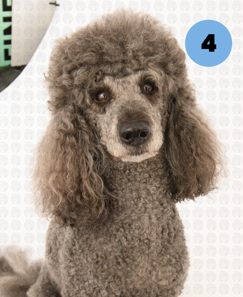 Screenshot 2026-01-12 at 11.10.55 AM copy.png