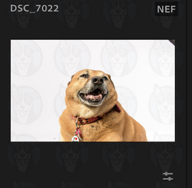 Screenshot 2025-02-16 at 5.01.43 PM.png